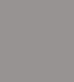 Parasilico Prestige - Platinum Grey RAL7036 300ml - Image 3