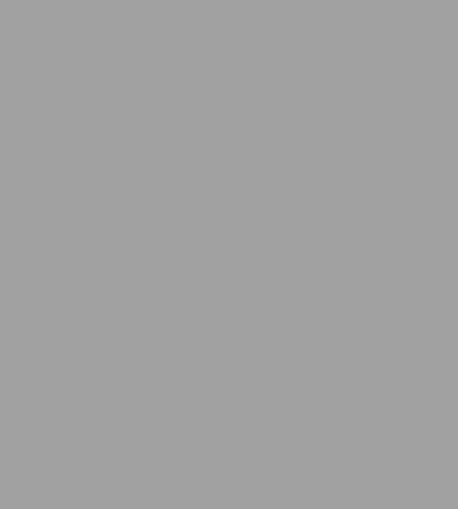 Parasilico Prestige - White Aluminium RAL9006 300ml - Image 3