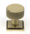 From The Anvil Aged Brass Brompton Cabinet Knob - 25mm (Square)