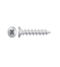 Rapierstar StarPVCU CFG 4.3 X 25 Csk Fast Thread Gimlet Point  Stainless Steel Box/1,000