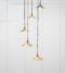 From The Anvil Smooth Brass Flora Cluster Pendant in Tump