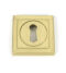 From The Anvil Satin Brass Round Escutcheon (Square)