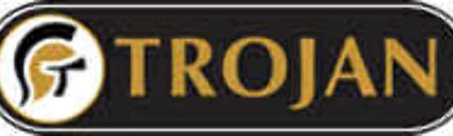 Trojan Hardware Sparta Tilt & Turn Satin Silver Window Handle 40mm - Image 4